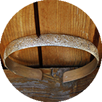 Lire la suite à propos de l’article La Création du mois – Juin